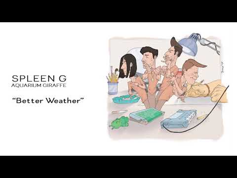 Spleen G - Better Weather