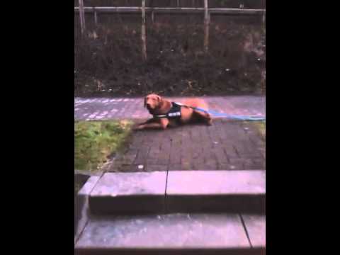 20150106 Willy Platz außer Sicht