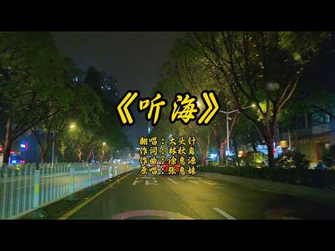 【听海】#大头针翻唱 华语经典情歌中文歌曲【听，海哭的声音】