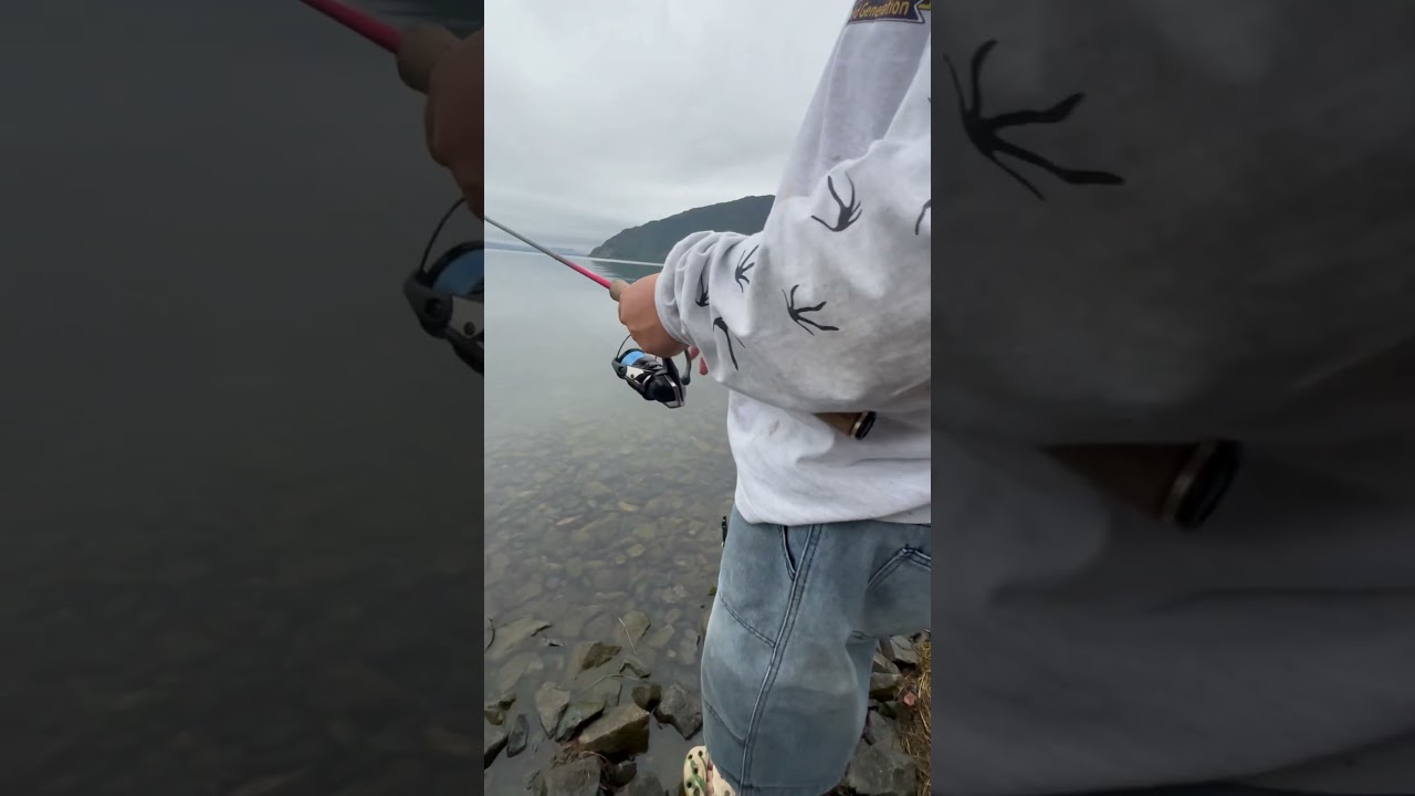 琵琶湖で1番のバス釣り師に教わる #バス釣り