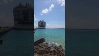 MSC World America from Costa Maya Shoreline 🇲🇽🚢 #short #cruise #oceanview