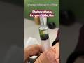 Nature S Magic Photosynthesis Experiment With Baking Soda Dive Into The Oxygen Wonderland