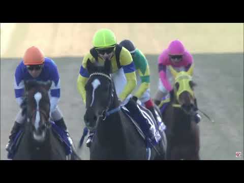 追悼ハーツクライ(2005年有馬記念、2006年ドバイ・シーマクラシック)