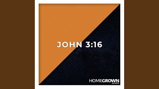 John 3:16