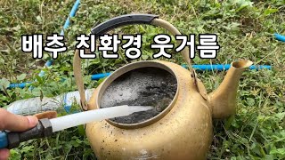배추 친환경 웃거름 만드는 방법 배추 친환경 재배