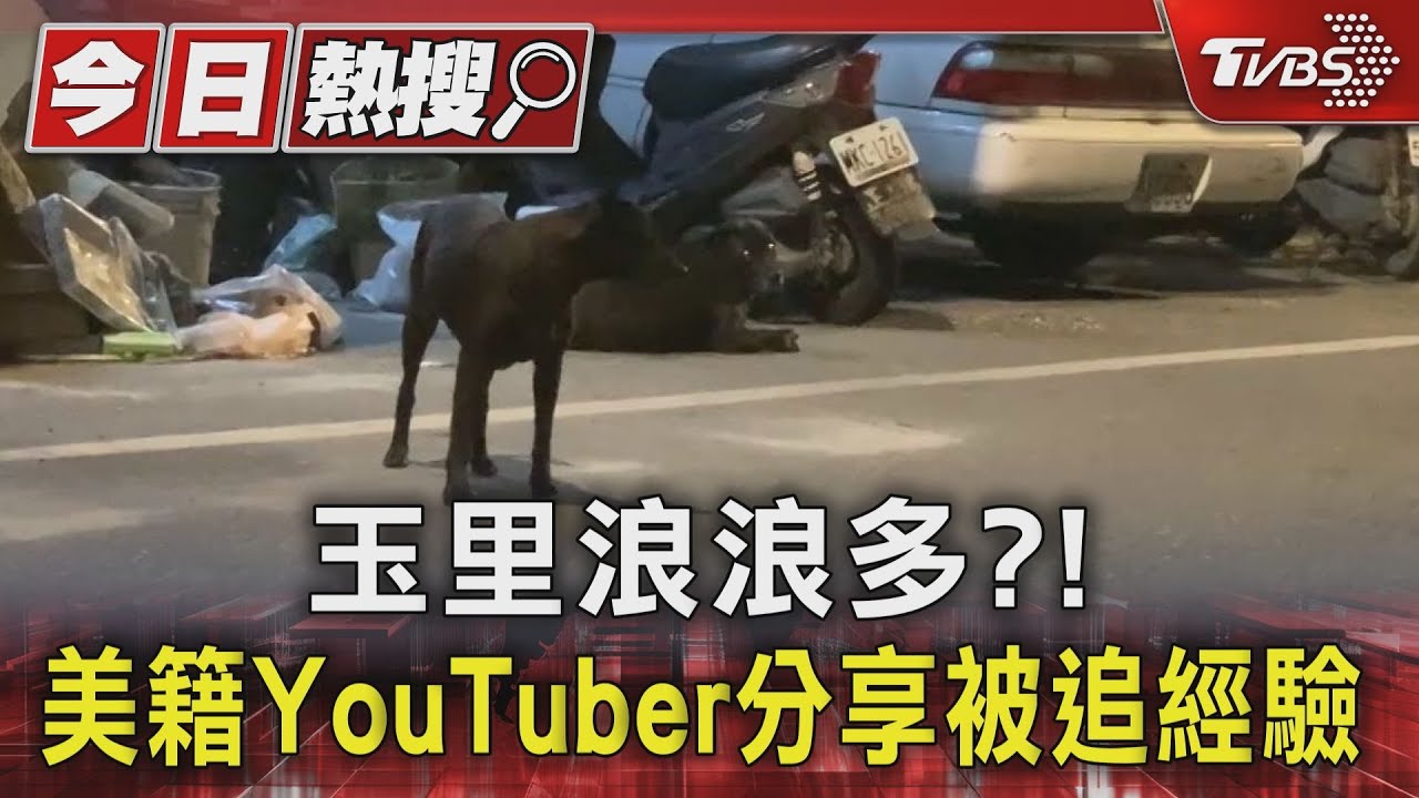 玉里浪浪多?! 美籍YouTuber分享被追經驗
