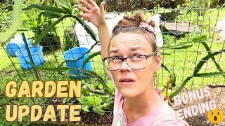 Lessons Learned and Rewards Earned in the Garden | Learning As We Go | Hamakua Homestead Vlog