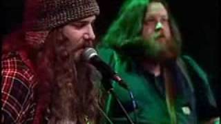 Not In Nottingham -- Disney's Robin Hood Cover -- Roger Miller