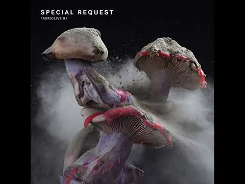 Fabriclive 91 - Special Request