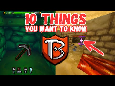 10 Tips To Help You WIN in BARONY as a Beginner.