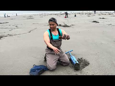 How to Cook Razor Clams **Catch & Cook**