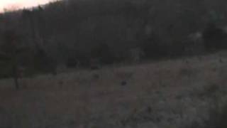 preview picture of video 'Ludlow Missouri 2008 Deer Hunt'