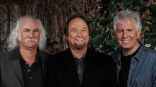 Dan LaFortune &quot;Song For Susan&quot; - Crosby, Stills &amp; Nash cover