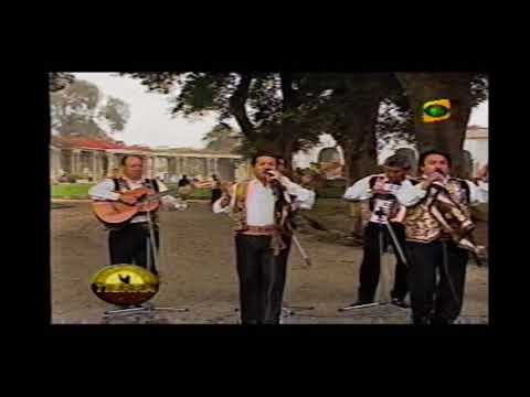 MAL PASO : ESTUDIANTINA ANDINA