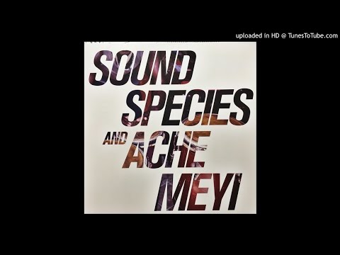 Soundspecies and Ache Meyi - Eguá : Mawa
