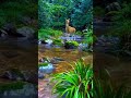 Morning in the Forest ☀️ Calming Nature Sounds & Stunning Green Views