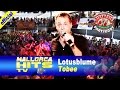 Tobee - Lotusblume - Ballermann Hits 
