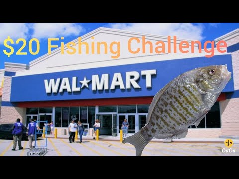 $20 Walmart Fishing CHALLENGE!( Salt Water Edition)