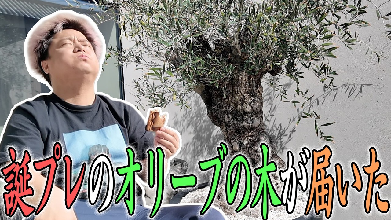 【大人のソロ活】立派なオリーブを眺めつつ、男一人の優雅にホットサンドを食う！