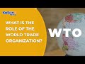 What is the role of the World Trade Organization (WTO) ?