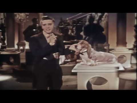 Elvis Presley - Hound Dog  (Colourized) - Steve Allen Show 1956.