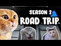 CAT MEMES: ROAD TRIP COMPILATION SEASON 2