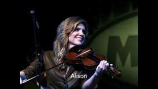 Alison Krauss - The scarlet tide