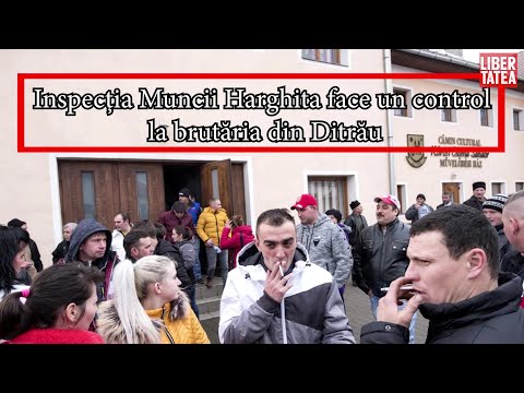 Inspecția Muncii face un control la brutăria din Ditrău. Ce se întâmplă cu cei 2 brutari