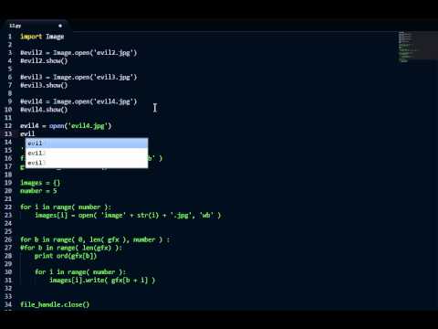 Python Challenge 12 5 Evil4 jpg