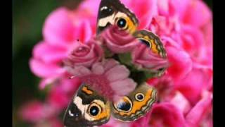 Richard Clayderman - Fur Elise