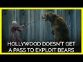 Hollywood Doesn T Get A Pass To Exploit Bears