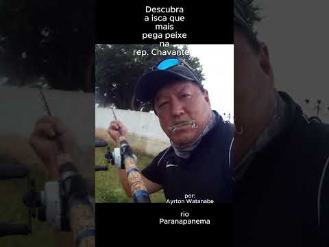 Isca que mais pega peixe na represa de chavantes #sorts #fishing #pesca #pescaria #ayrtonpesca #isca