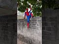 Spiderman Robando Mangos