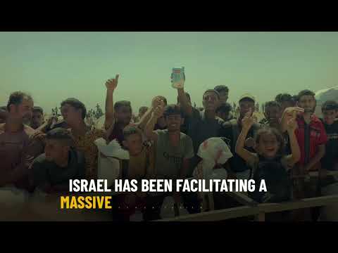 2 billion kilograms of aid have entered Gaza