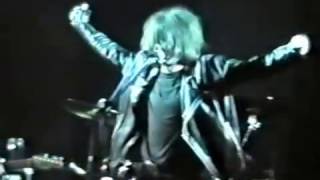 The Telescopes  (live)