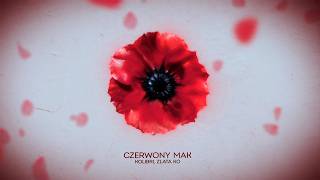 Сzerwony Mak Lyrics English Translation