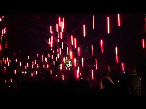 Floriade Nightfest; Rhododendron Gardens-rain drops