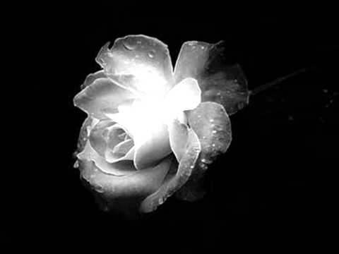 05- Szerelem száll (Dj Páz Italo club  mix)