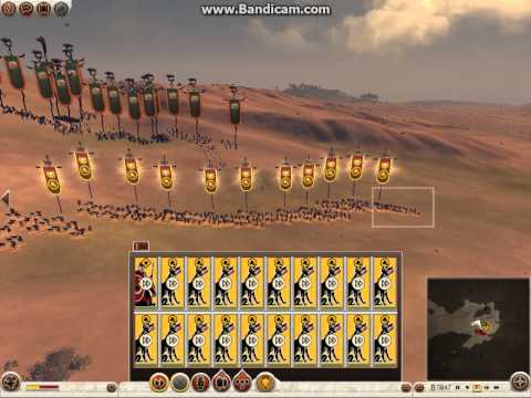Dog Fight! Rome Total War 2
