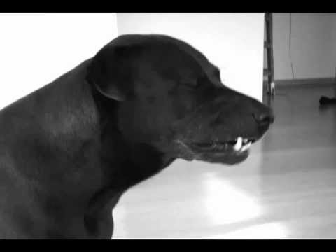 Sergio Pidá Ft Baléu - Flow (2011)