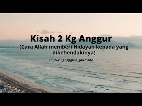 Kisah 2 Kg Anggur (Cara Allah Memberi Hidayah kepada yang dikehendaki-Nya)