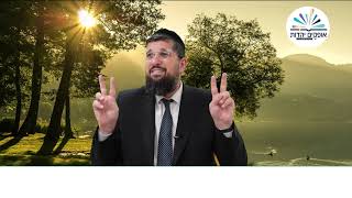 זרע שמשון | פרשת וישלח תשפ"ה | המתנות שנתן יעקב לעשיו | הרב אליהו עמר (הרב אליהו עמר) - התמונה מוצגת ישירות מתוך אתר האינטרנט יוטיוב. זכויות היוצרים בתמונה שייכות ליוצרה. קישור קרדיט למקור התוכן נמצא בתוך דף הסרטון זרע שמשון | פרשת וישלח תשפ"ה | המתנות שנתן יעקב לעשיו | הרב אליהו עמר (הרב אליהו עמר) - התמונה מוצגת ישירות מתוך אתר האינטרנט יוטיוב. זכויות היוצרים בתמונה שייכות ליוצרה. קישור קרדיט למקור התוכן נמצא בתוך דף הסרטון