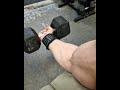 Building Massive Biceps Peak - Bodybuilding #motivation #gym #bodybuilding #shorts