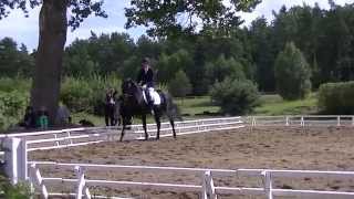 Video koně Eposstein