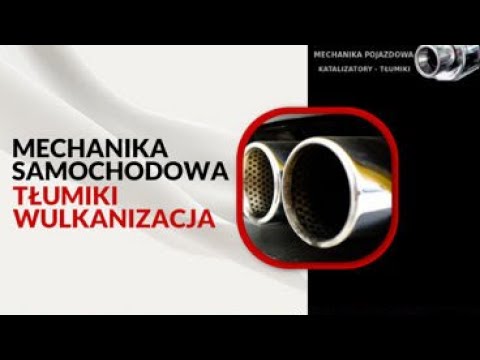 Zobacz filmy filmy