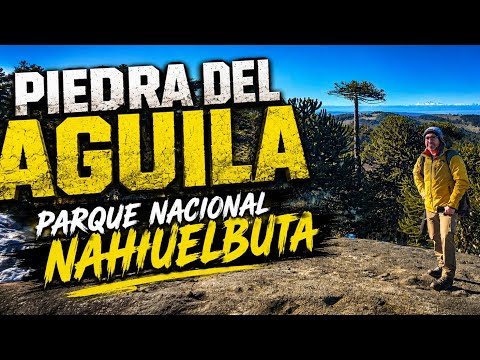  Piedra del Águila | La mejor vista del Parque Nacional Nahuelbuta 🍂🇨🇱🌳