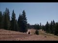 The Apple Dumpling Gang Chase Celia S Rescue