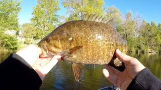 SpringTime Smallmouth Bass - Minnesota - Wacky Worm!