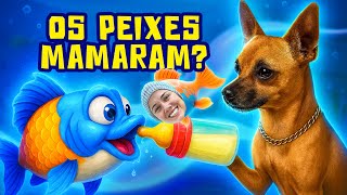 TREINANDO MEUS PEIXES DO LAGO NA MAMADEIRA! 😱 SERÁ QUE DEU CERTO?