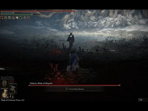 Beating Malenia With Danes Footwork After 8 Deaths